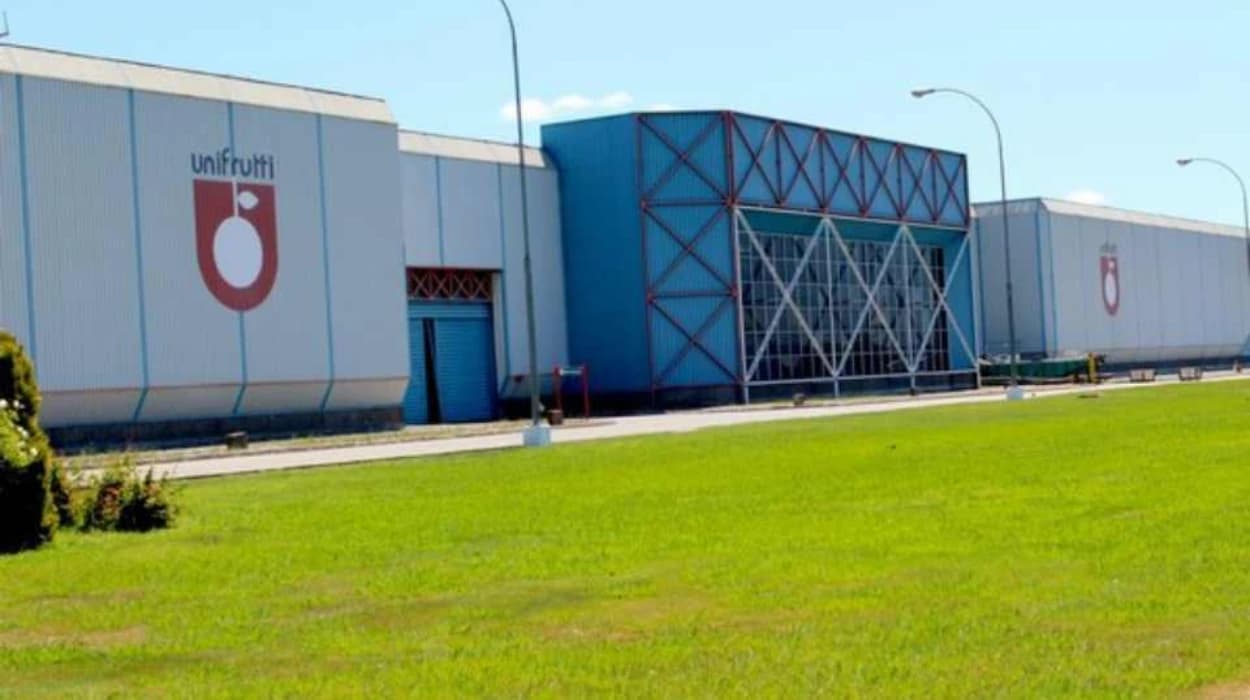 10 بدائل لمجموعة يوني فروتي الإماراتية في فرنسا