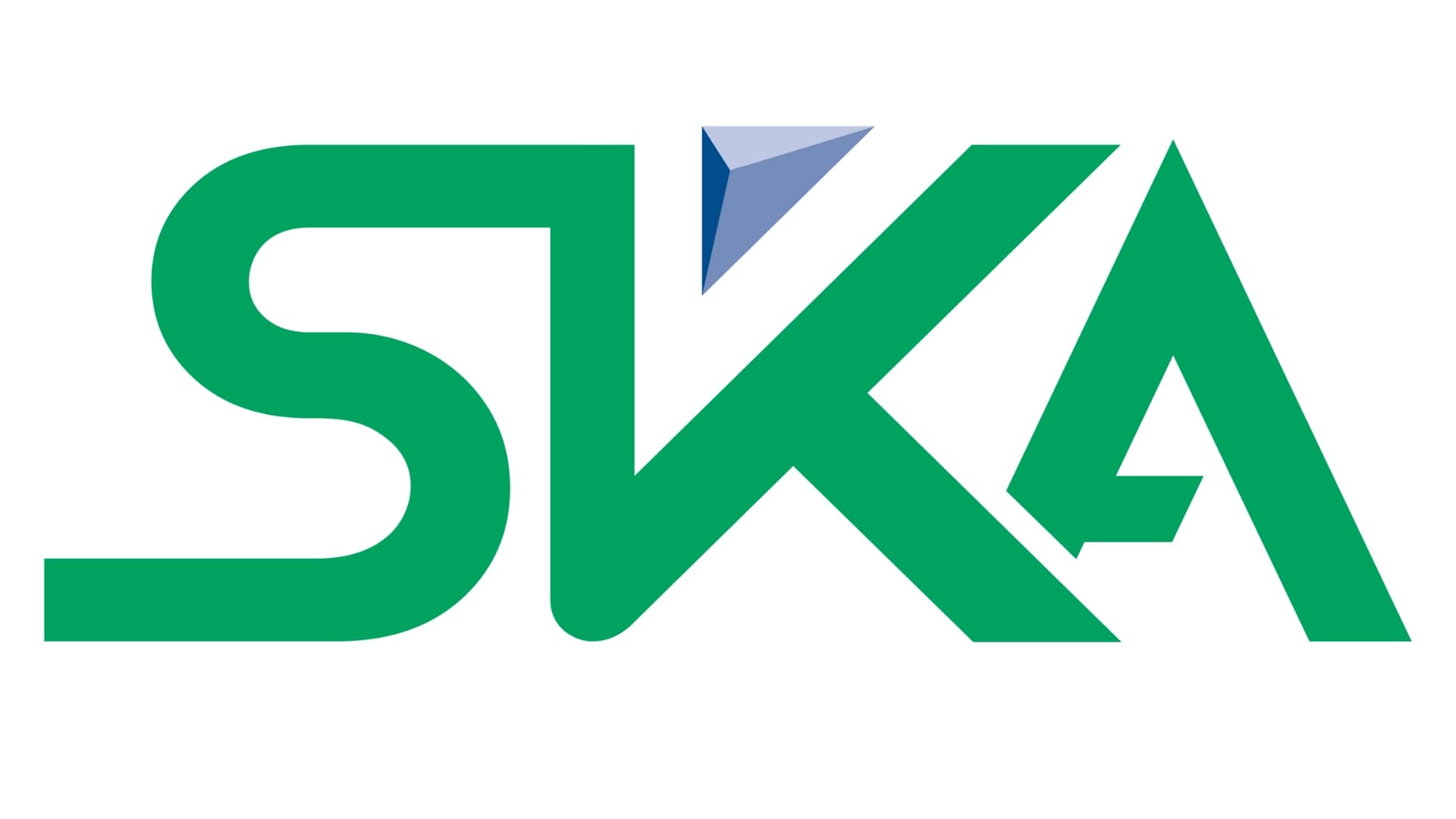 10 بدائل لمجموعة SKA الدولية الإماراتية في الصومال