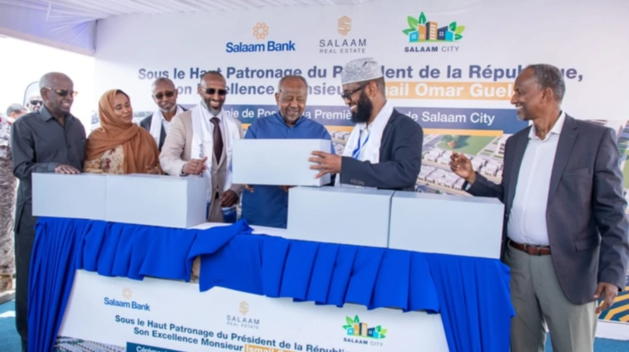 10 بدائل لشركة سلاّم بروبرتيز الإماراتية في جيبوتي