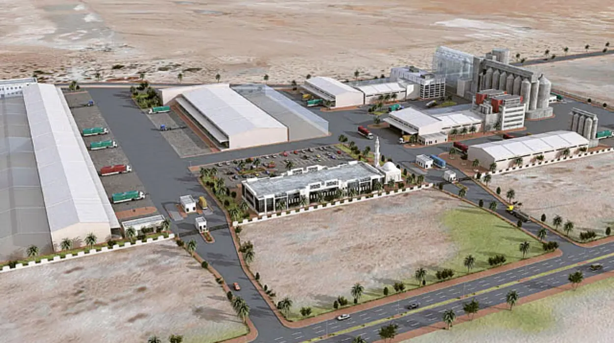 دعوة عالمية لعقوبات على أجثيا الإماراتية بسبب التلاعب الاقتصادي الآن